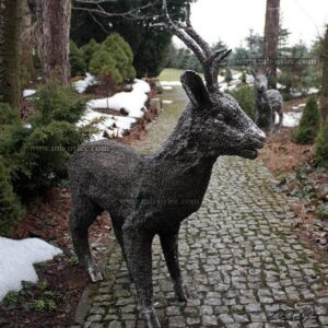 Young Steel Deer Sculpture