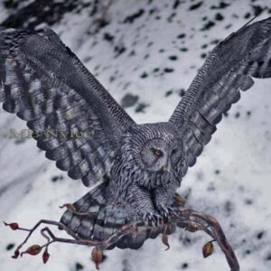 Owl with Spread Wings