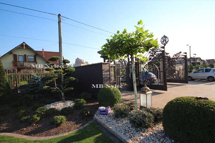 Street view of the BP56 entrance behind a landscaped front garden