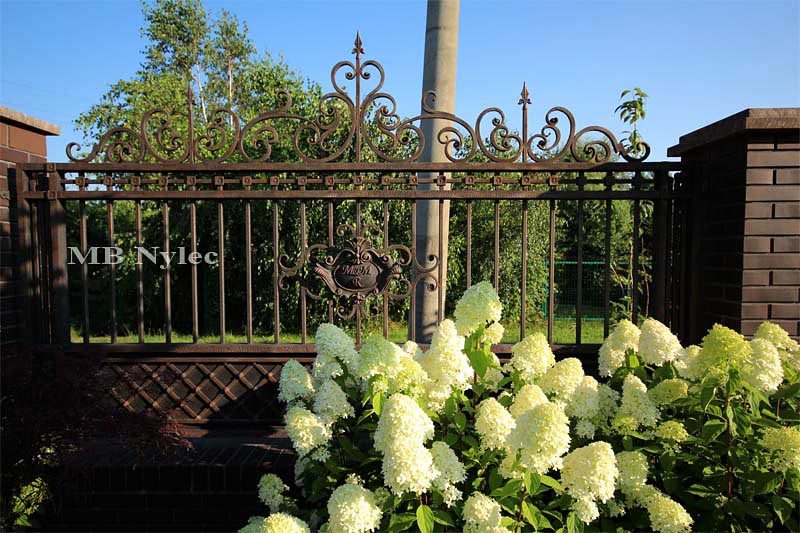 Manor-style wrought iron fence BP54 with a scrolled crest above hydrangeas on a dark brick wall