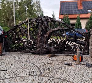 Metal Tree Entrance Gate