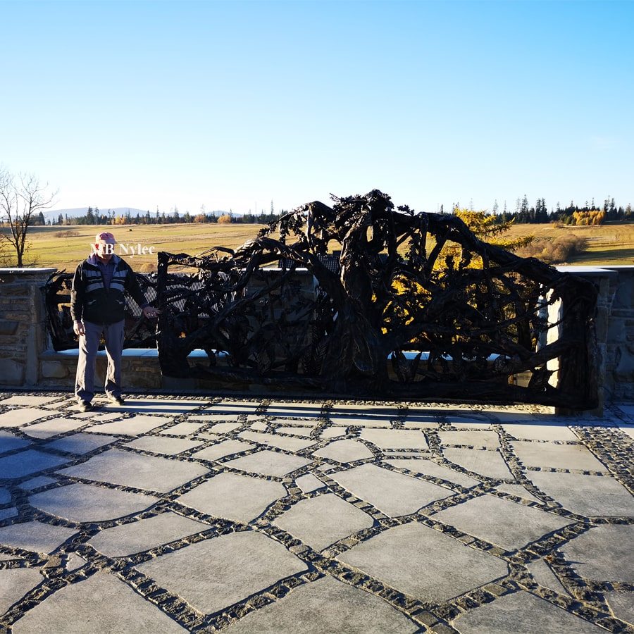 Single-leaf steel tree gate about 4 m wide with a person for scale