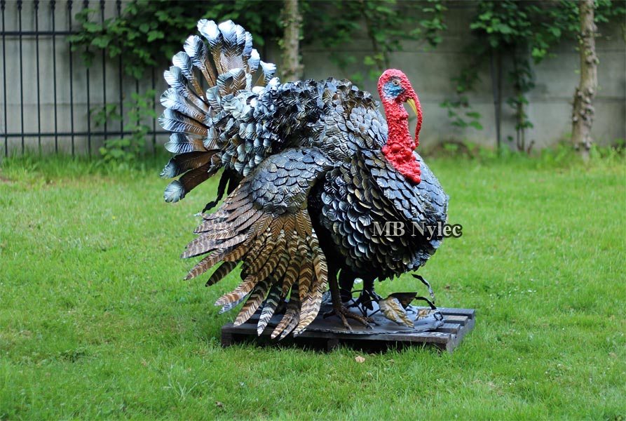 Steel turkey Z26 in full display with a red wattle on a lawn